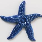 Star Fish-Cobalt