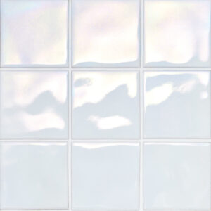 Ripple/RPL-31